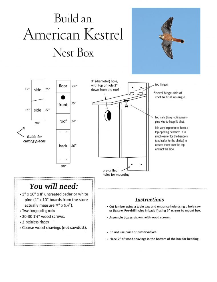 kestrel-nest-box-plans-copy
